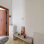 Meraviglia